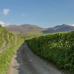 The *