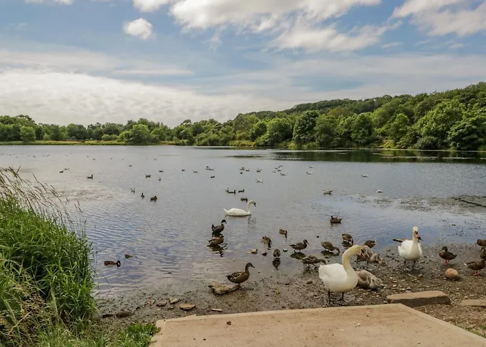 Apartman The Cleator